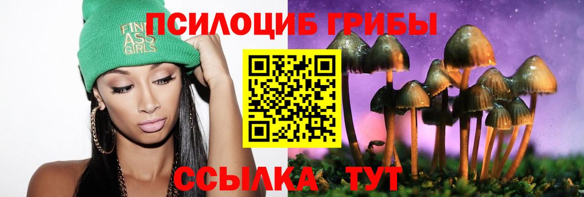 Псилоцибиновые грибы мухоморы  Вход с VPN  Вязники 