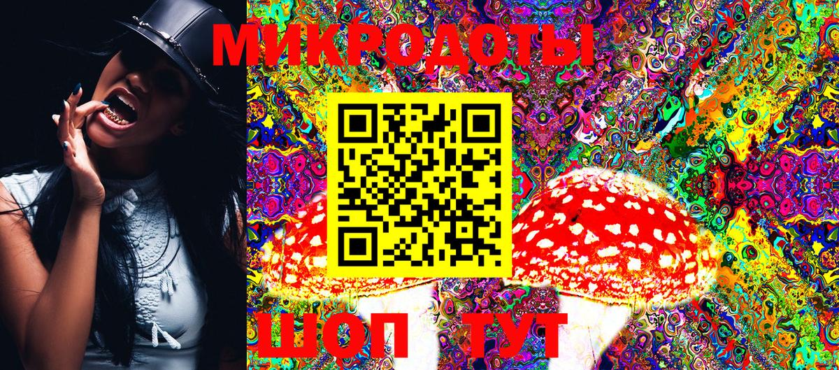 Галлюциногенные грибы Psilocybe Вязники